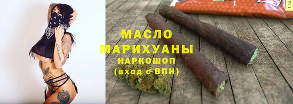 индика Заволжск