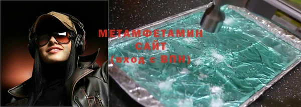 шишки Заволжье