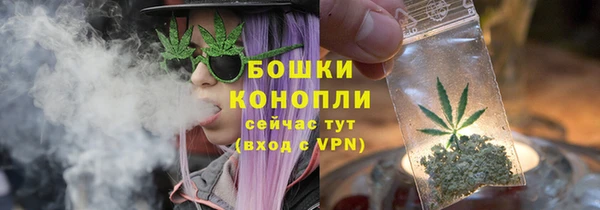 шишки Заволжье