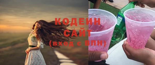 2c-b Ельня