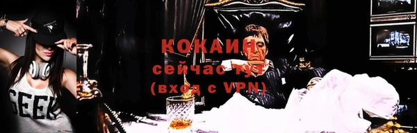 шишки Заволжье