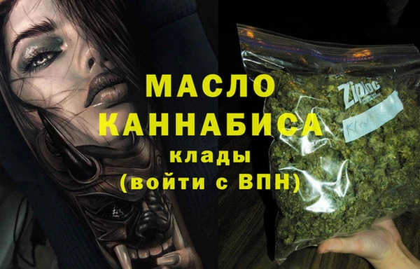 индика Заволжск