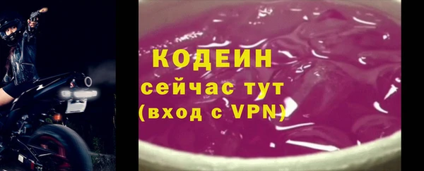 индика Заволжск