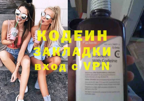 индика Заволжск