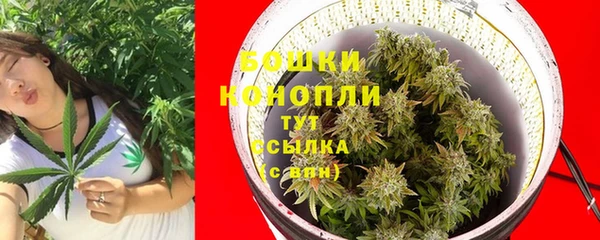индика Заволжск