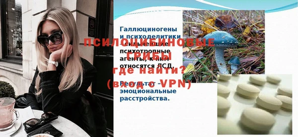 ПСИЛОЦИБИНОВЫЕ ГРИБЫ Елизово