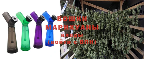 ПСИЛОЦИБИНОВЫЕ ГРИБЫ Елизово