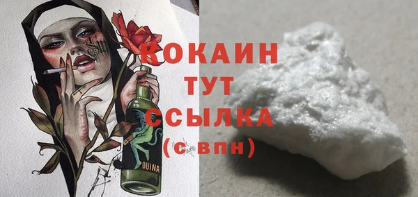 шишки Заволжье