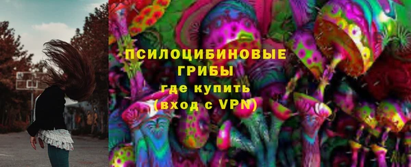 ПСИЛОЦИБИНОВЫЕ ГРИБЫ Елизово