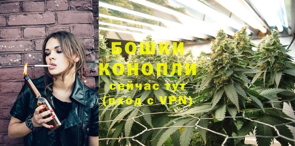 2c-b Ельня
