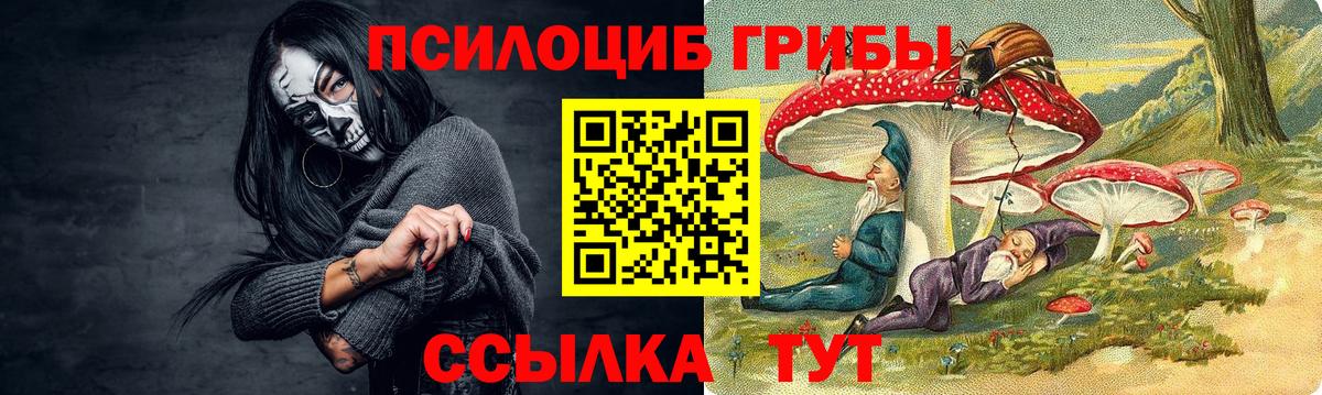 Галлюциногенные грибы ЛСД Боровичи