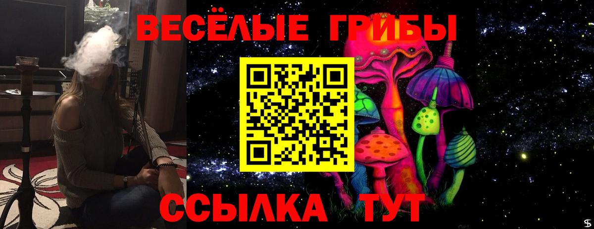 Галлюциногенные грибы мицелий Боровичи